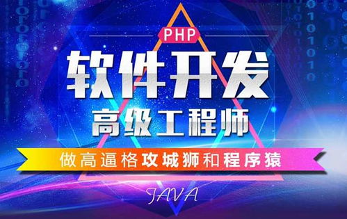 图 app开发定制,软件开发,小程序开发 成都网站建设推广